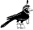 Logo - Crazy Crow Trading Post