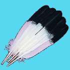 Hand Painted Imitation Eagle Feathers for Native American Dance Fans