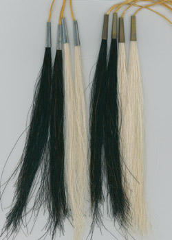 Scalp Locks