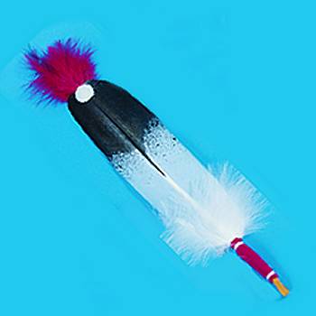 Coup Feather Kit - Hand Painted Eagle Feather