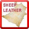 Sheep Leather