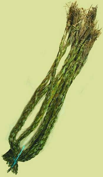 Sweetgrass Braids
