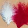 Feather Preparation Products