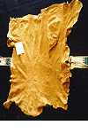 Brain Tan Leather