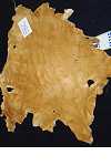 Brain Tan Leather