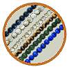 Shell & Stone Beads