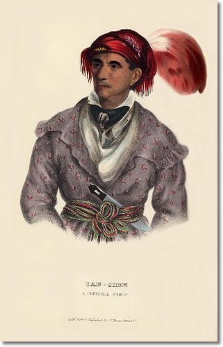 Tah-Chee or Dutch – Cherokee Chief – Mckenney-Hall-030