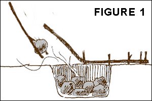 Making rawhide that stays flat: FIG 1
