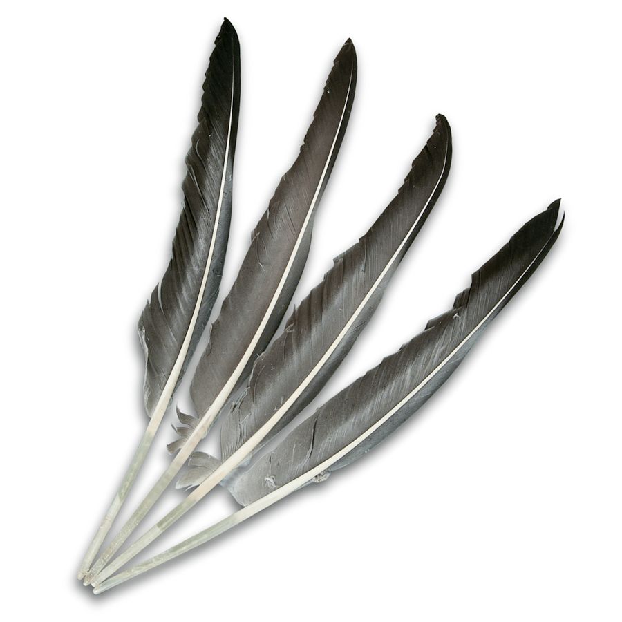 Natural Grey Goose Wing Feathers, 8"13" Crazy Crow Trading Post