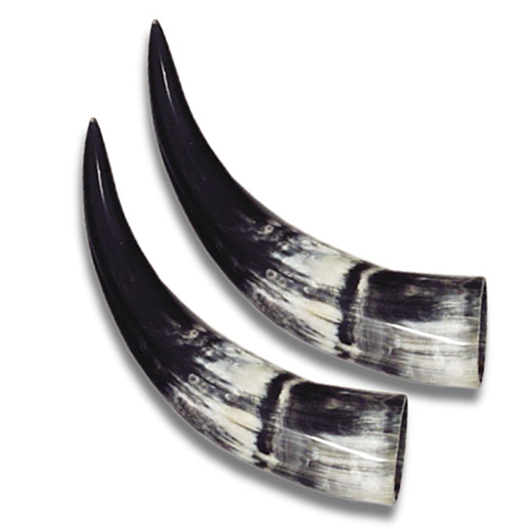 Steer Horns Large Polished Pairs, 10"14" Bull Horns Crazy Crow