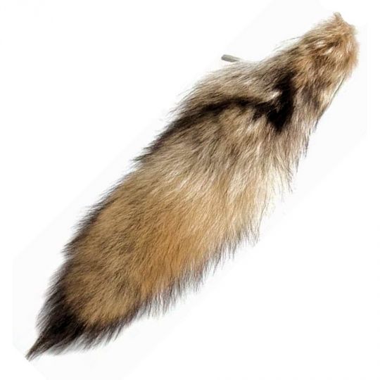 Coyote Tails | Crazy Crow Trading Post