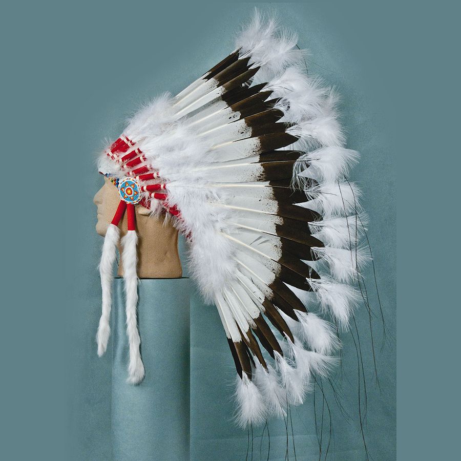 Deluxe Warbonnet, Hand Painted Eagle Feathers - White- White | Crazy