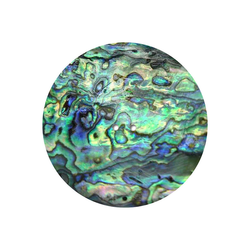 Paua Shell Disc -2