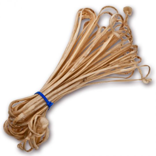 Elk & Deer Rawhide Lace (50 foot pkg) | Crazy Crow Trading Post