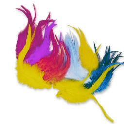Featherworker's Hackle Assortment
