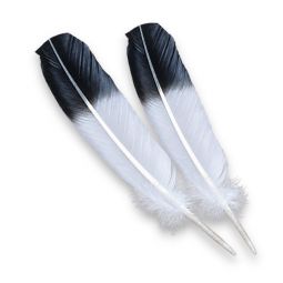 Imitation Eagle Wings, 10"-12" Bulk