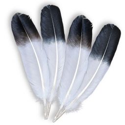 Jumbo Imitation Eagle Wings,  Bulk