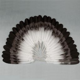 Semi-Mature Golden Eagle 30-Feather Bonnet Set