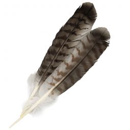 Hand Painted Red-Tail Hawk Feathers - Matched Pair (12"-13")
