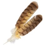 Hand Painted Great Horned Owl Feathers - Pair (12"-13")