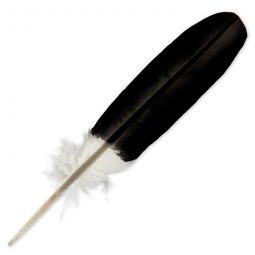 Hand Painted Bald Eagle Wing Feathers, Singles