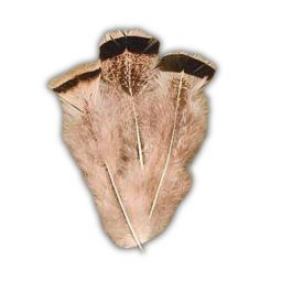 Natural Bronze & Mottled Turkey T-Base Fluffs,  4"-6"