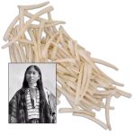 Large Smooth Dentalium Shells