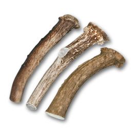 American Stag Crowned End Small, 4" to 5" x 1/2" - 3/4"