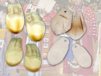 Genuine & Replica Elk Teeth