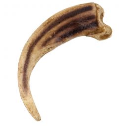 Resin Replica Grizzly Claw XL 4-1/4"