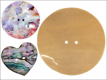 Shell Discs
