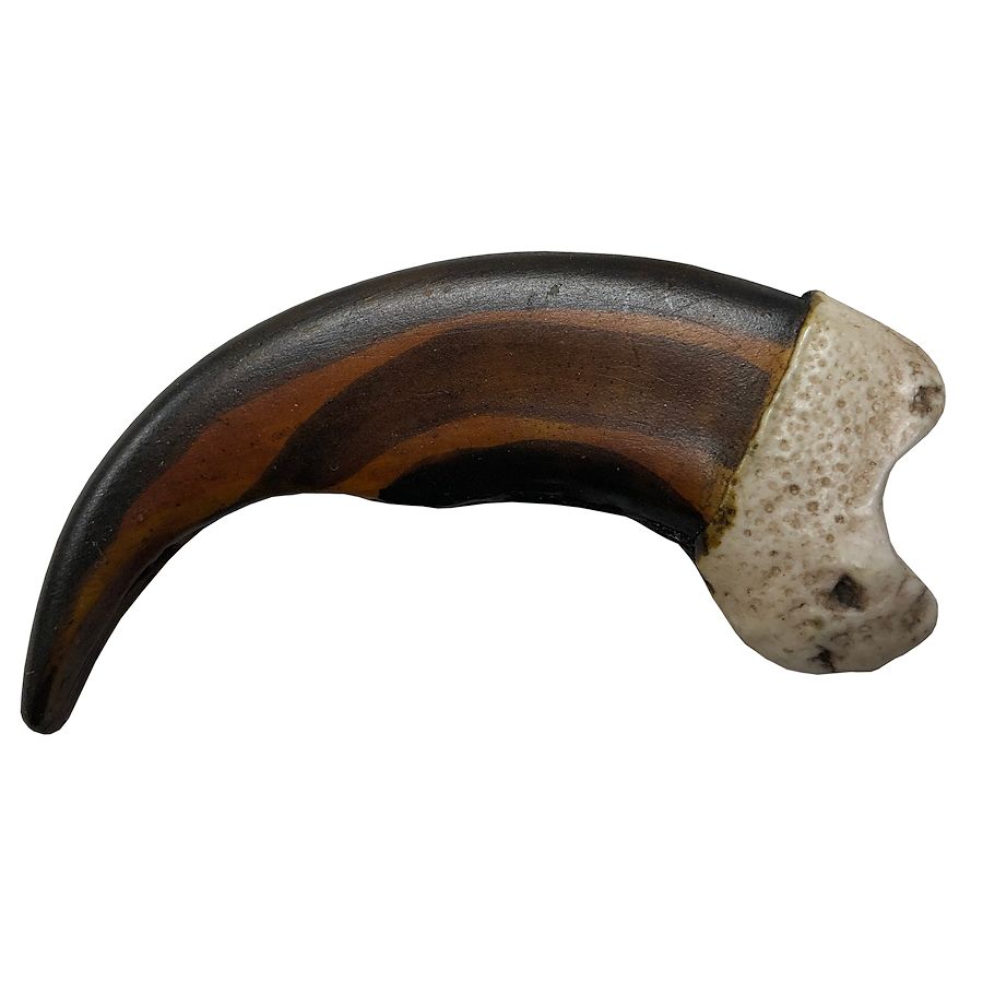 Artistic ReproductionsGrizzly ClawMedium, 41/8" Crazy Crow Trading