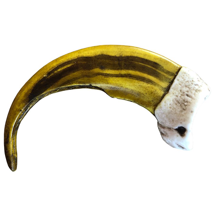 Artistic ReproductionsMountain Grizzly Claw, 53/4" Crazy Crow