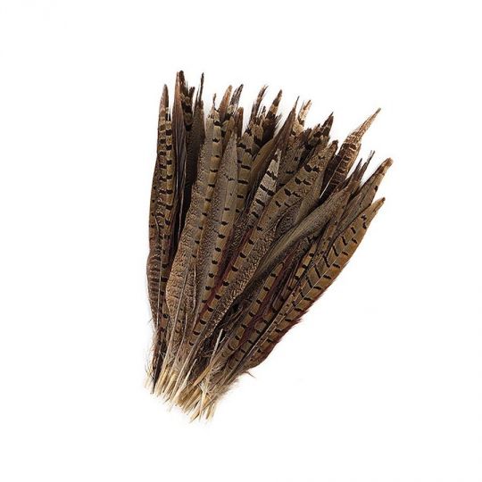 Ringneck Pheasant Tail Feather 10-12