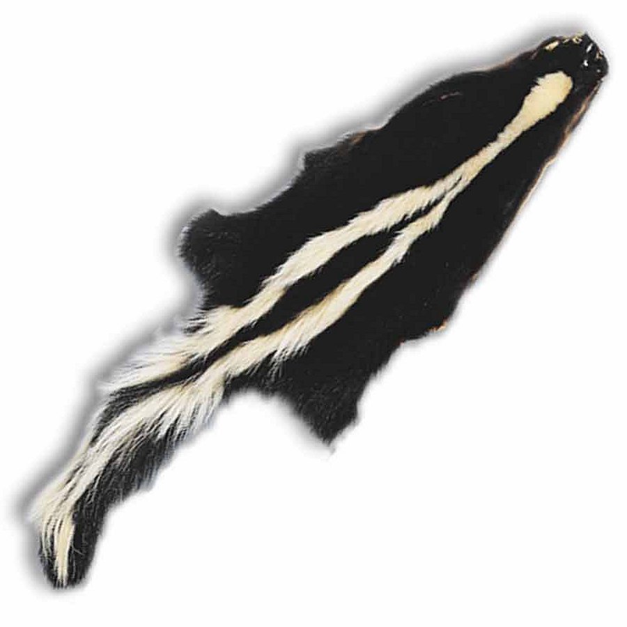 Skunk Skins | Crazy Crow Trading Post