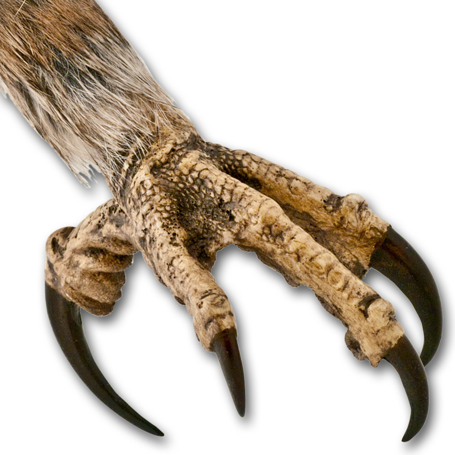 Artistic Reproductions-Eagle Foot (closed) | Crazy Crow Trading Post
