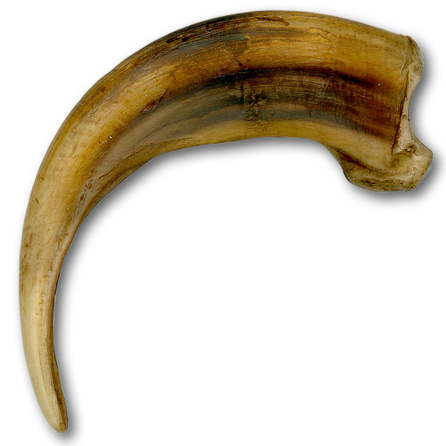 Replica Plains Grizzly Claw XL 41/2" Crazy Crow Trading Post