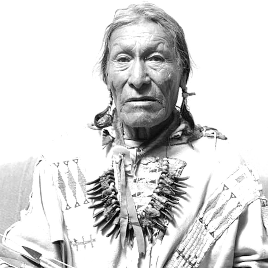 Dewey Beard or Wasú Máza | Minneconjou Lakota | Little Big Horn & Wounded Knee - Native American Celebrities - Crazy Crow Trading Post