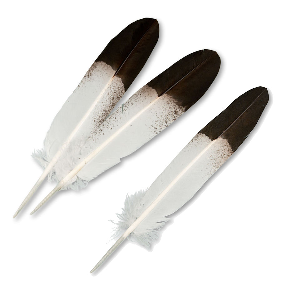 Realistic Hand-Painted Imitation Eagle Roach Feathers - Crazy Crow Trading Post