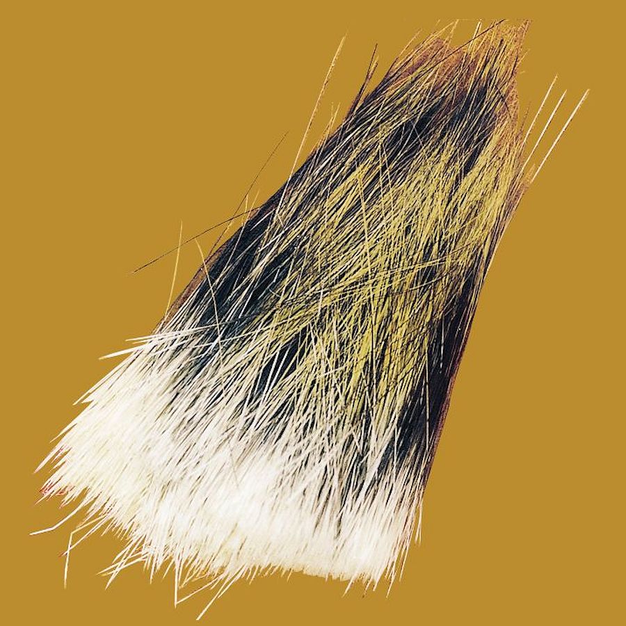 Porcupine Guard Hair - Crazy Crow Trading Post