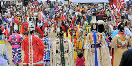 Native American Indian Powwow Dancing & Etiquette - Crazy Crow Trading Post