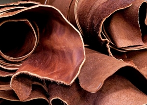 Leather Craft Resources- Crazy Crow Trading Post Craft Focus Articles