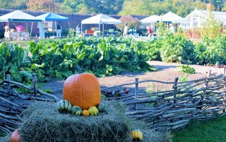 Fort Ticonderoga Heritage Harvest and Horse Festival