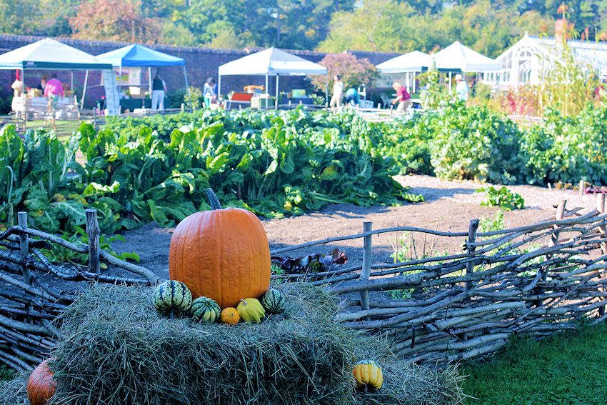 Fort Ticonderoga Heritage Harvest and Horse Festival