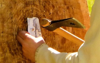 Brushy Creek Rangers Rendezvous - Near Smartsville California