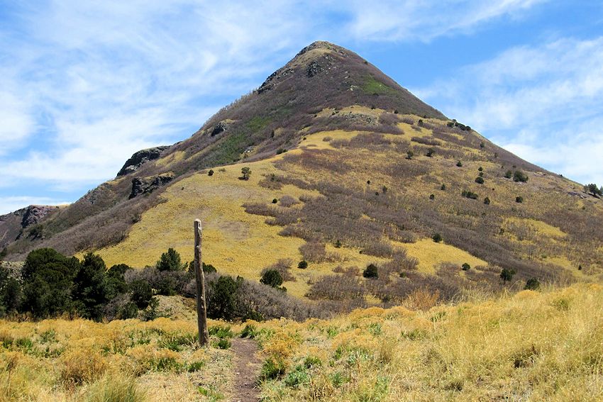 Annual Free Trapper Rendezvous Nogal Peak