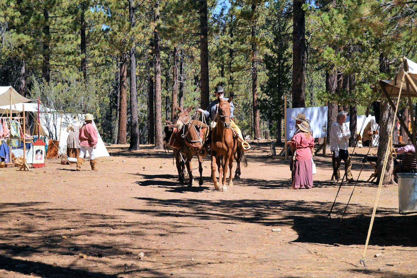 Big Horn Mountain Men Rendezvous