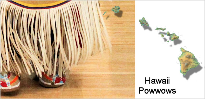 Hawaii Pow Wow A History of Button Manufacture, Use & Classification - by Crazy Crow Trading Post
