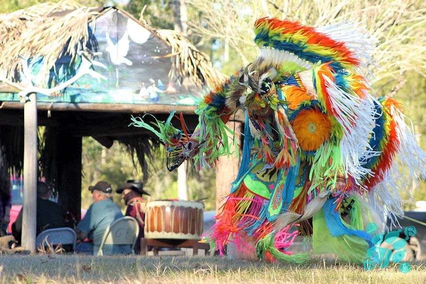 Cox-Osceola Seminole Fall Powwow - Orange Springs Powwow Grounds - Cox Oceola Yamassee Seminole - Cox-Osceola Seminole Seventh Generation Powwow - Cox-Osceola Seminole Indian Reservation - Oklevuha Band of Yamassee Seminoles Reservation