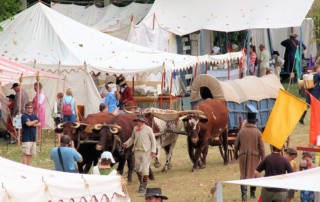 Fair at New Boston